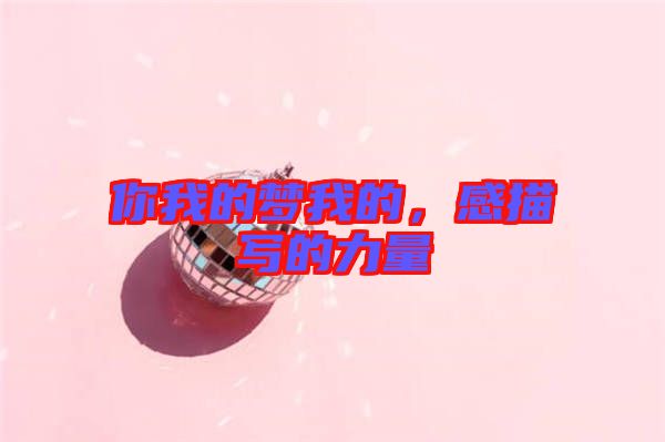 你我的夢我的，感描寫的力量