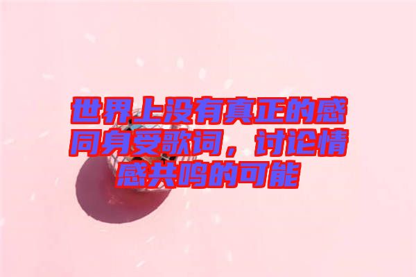 世界上沒有真正的感同身受歌詞，討論情感共鳴的可能