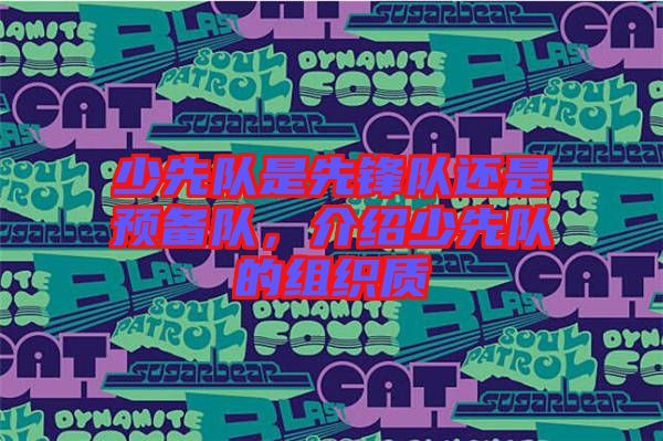 少先隊是先鋒隊還是預備隊，介紹少先隊的組織質