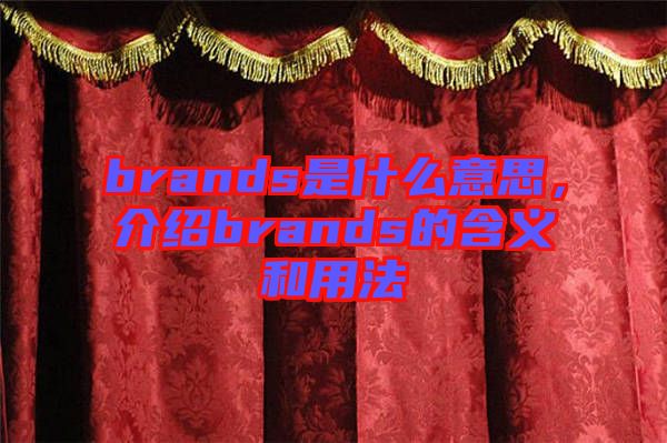 brands是什么意思，介紹brands的含義和用法