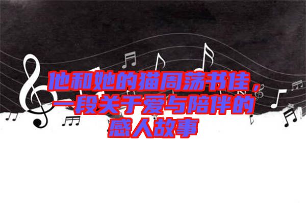 他和她的貓周蕩書佳，一段關于愛與陪伴的感人故事