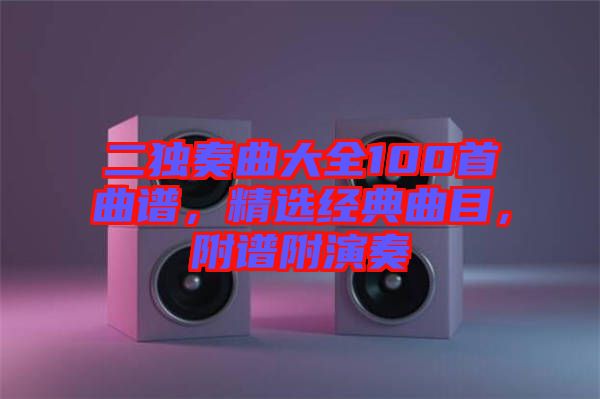 二獨(dú)奏曲大全100首曲譜，精選經(jīng)典曲目，附譜附演奏
