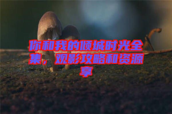 你和我的傾城時(shí)光全集，觀影攻略和資源享