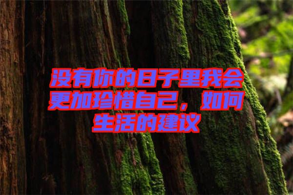 沒有你的日子里我會更加珍惜自己，如何生活的建議