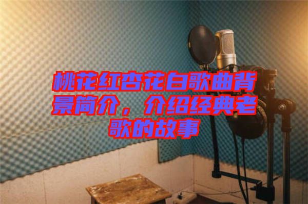 桃花紅杏花白歌曲背景簡介，介紹經典老歌的故事