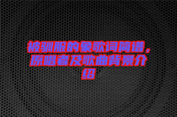 被馴服的象歌詞簡譜，原唱者及歌曲背景介紹