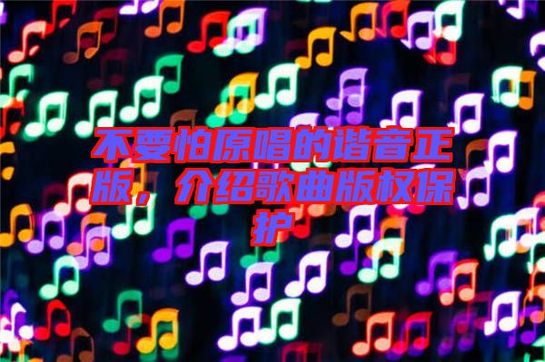 不要怕原唱的諧音正版，介紹歌曲版權保護