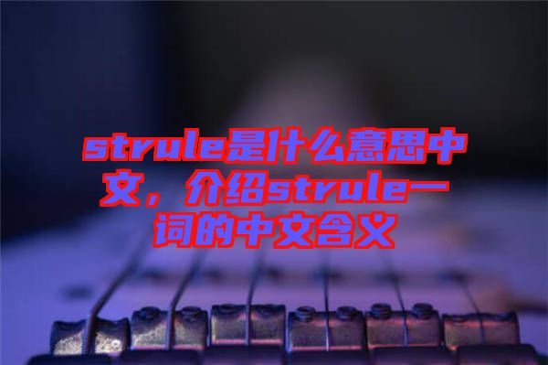 strule是什么意思中文，介紹strule一詞的中文含義