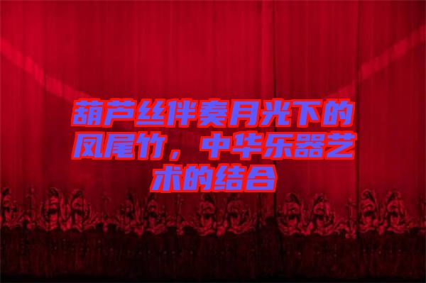 葫蘆絲伴奏月光下的鳳尾竹，中華樂器藝術的結合