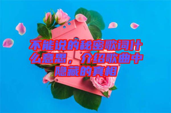 不能說的秘密歌詞什么意思，介紹歌曲中隱藏的真相