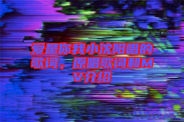 愛(ài)是你我小沈陽(yáng)唱的歌詞，原唱歌詞和MV介紹