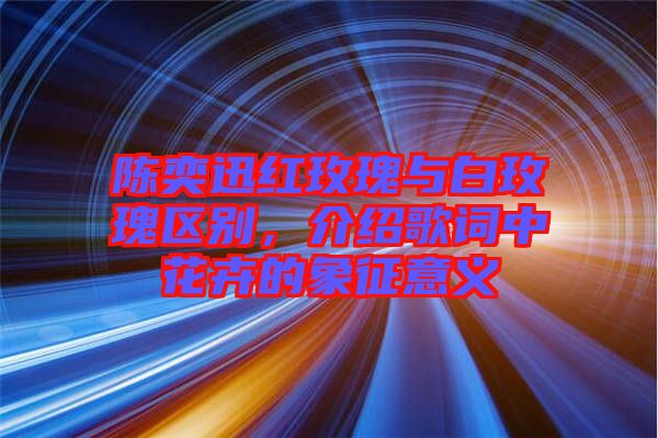 陳奕迅紅玫瑰與白玫瑰區別，介紹歌詞中花卉的象征意義