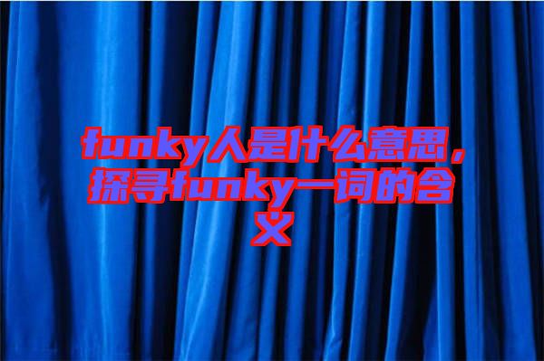 funky人是什么意思，探尋funky一詞的含義