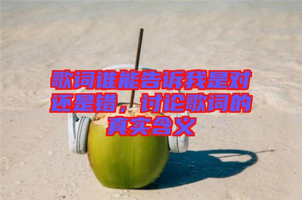 歌詞誰能告訴我是對還是錯，討論歌詞的真實含義