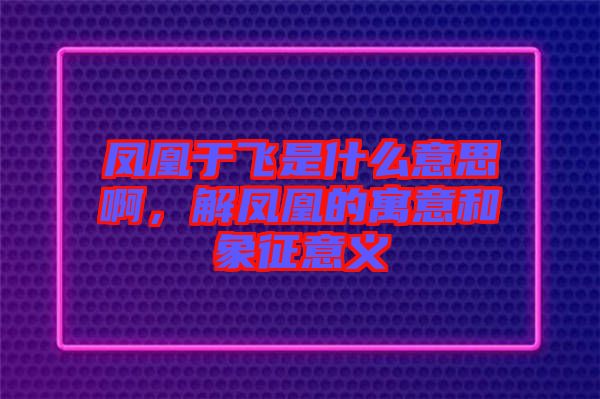 鳳凰于飛是什么意思啊，解鳳凰的寓意和象征意義