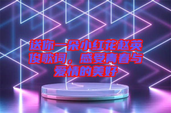 送你一朵小紅花趙英俊歌詞，感受青春與愛情的美好