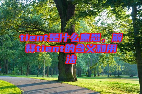 tient是什么意思，解釋tient的含義和用法