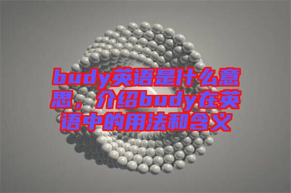 budy英語是什么意思，介紹budy在英語中的用法和含義