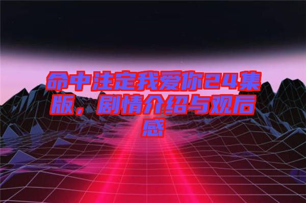 命中注定我愛你24集版，劇情介紹與觀后感