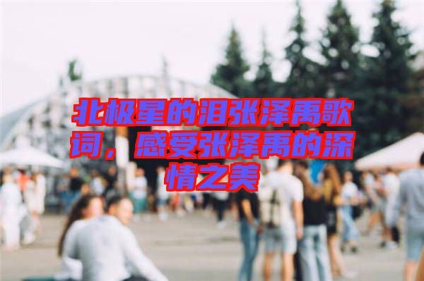 北極星的淚張澤禹歌詞，感受張澤禹的深情之美