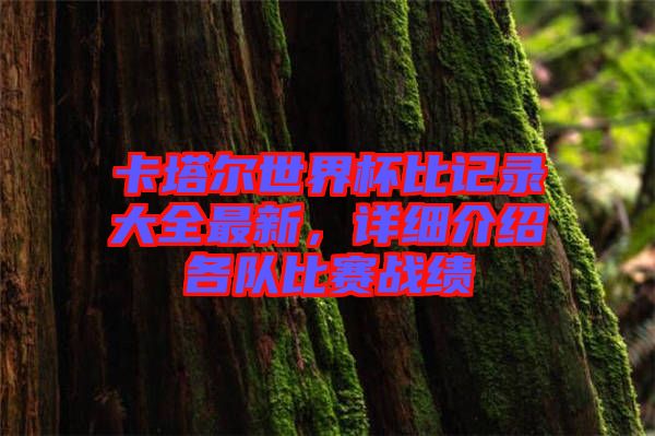 卡塔爾世界杯比記錄大全最新，詳細(xì)介紹各隊(duì)比賽戰(zhàn)績(jī)