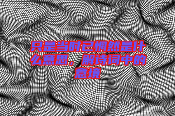 只是當(dāng)時(shí)已惘然是什么意思，解詩詞中的意境