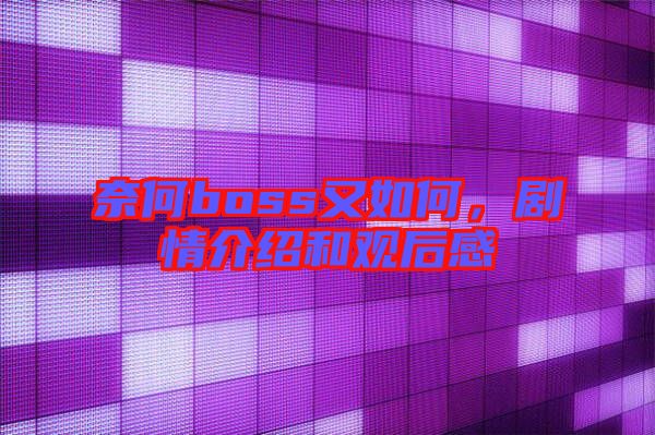 奈何boss又如何，劇情介紹和觀后感