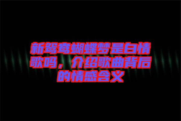 新鴛鴦蝴蝶夢是白情歌嗎，介紹歌曲背后的情感含義