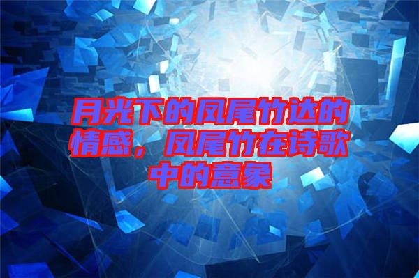 月光下的鳳尾竹達(dá)的情感，鳳尾竹在詩(shī)歌中的意象