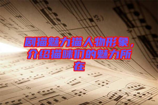 劇貓魅力貓人物形象，介紹貓咪們的魅力所在