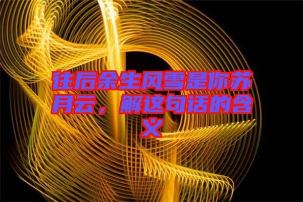 往后余生風雪是你蘇月云，解這句話的含義