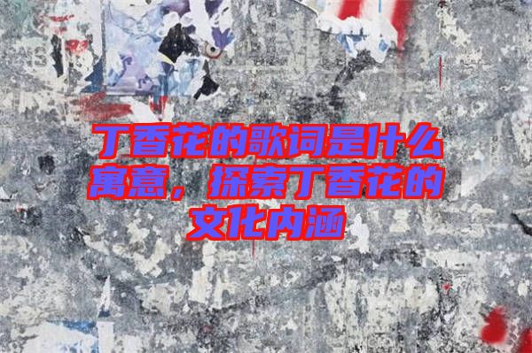 丁香花的歌詞是什么寓意，探索丁香花的文化內涵