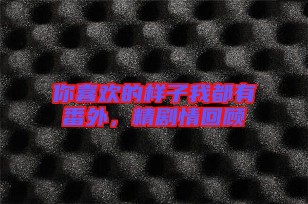 你喜歡的樣子我都有番外，精劇情回顧