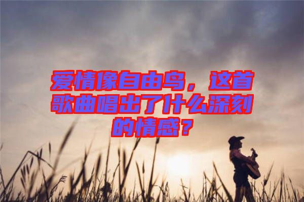 愛情像自由鳥，這首歌曲唱出了什么深刻的情感？