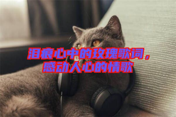 淚痕心中的玫瑰歌詞，感動人心的情歌