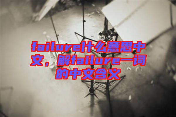 failure什么意思中文，解failure一詞的中文含義