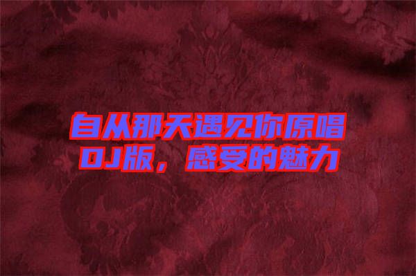 自從那天遇見(jiàn)你原唱DJ版，感受的魅力