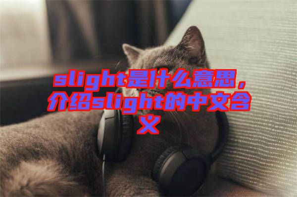 slight是什么意思，介紹slight的中文含義