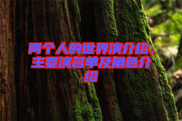 兩個人的世界演介紹，主要演名單及角色介紹