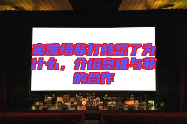 竇唯給菲打鼓怒了為什么，介紹竇唯與菲的合作