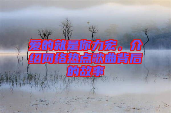 愛的就是你力宏，介紹網絡熱點歌曲背后的故事