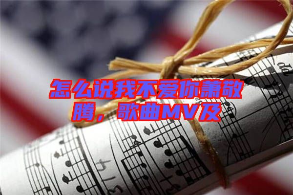 怎么說我不愛你蕭敬騰，歌曲MV及