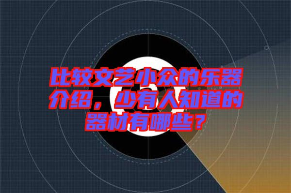 比較文藝小眾的樂器介紹，少有人知道的器材有哪些？