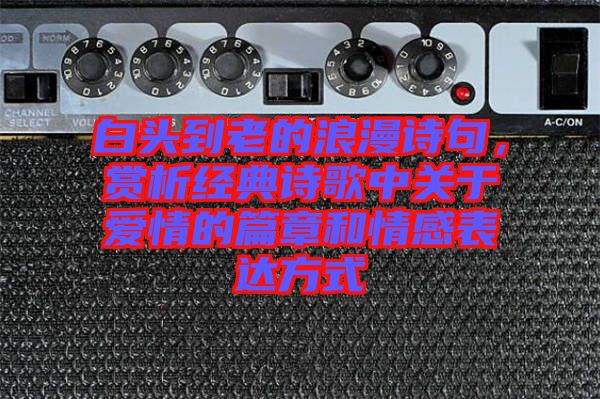 白頭到老的浪漫詩句，賞析經典詩歌中關于愛情的篇章和情感表達方式