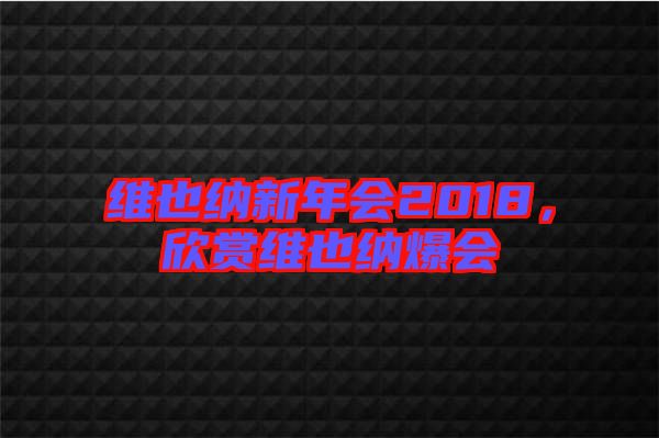 維也納新年會2018，欣賞維也納爆會