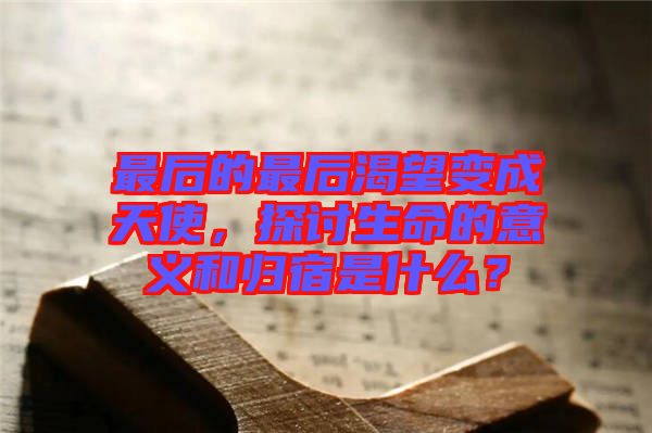 最后的最后渴望變成天使，探討生命的意義和歸宿是什么？
