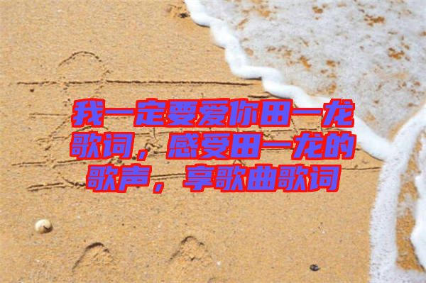我一定要愛你田一龍歌詞，感受田一龍的歌聲，享歌曲歌詞