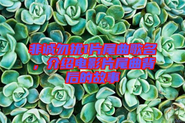 非誠勿擾1片尾曲歌名，介紹電影片尾曲背后的故事