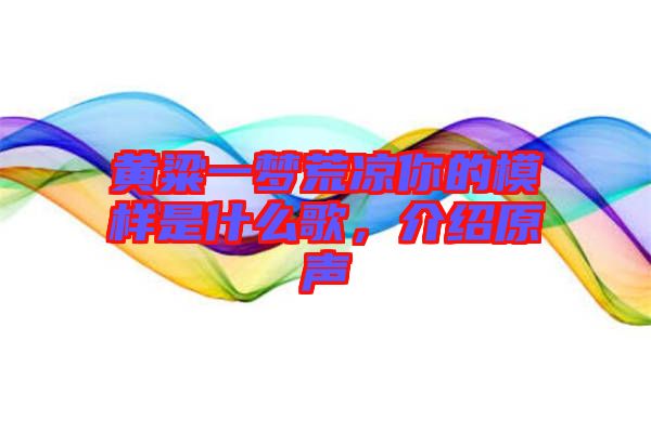 黃粱一夢荒涼你的模樣是什么歌，介紹原聲