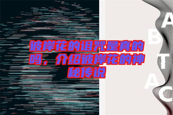 彼岸花的詛咒是真的嗎，介紹彼岸花的神秘傳說